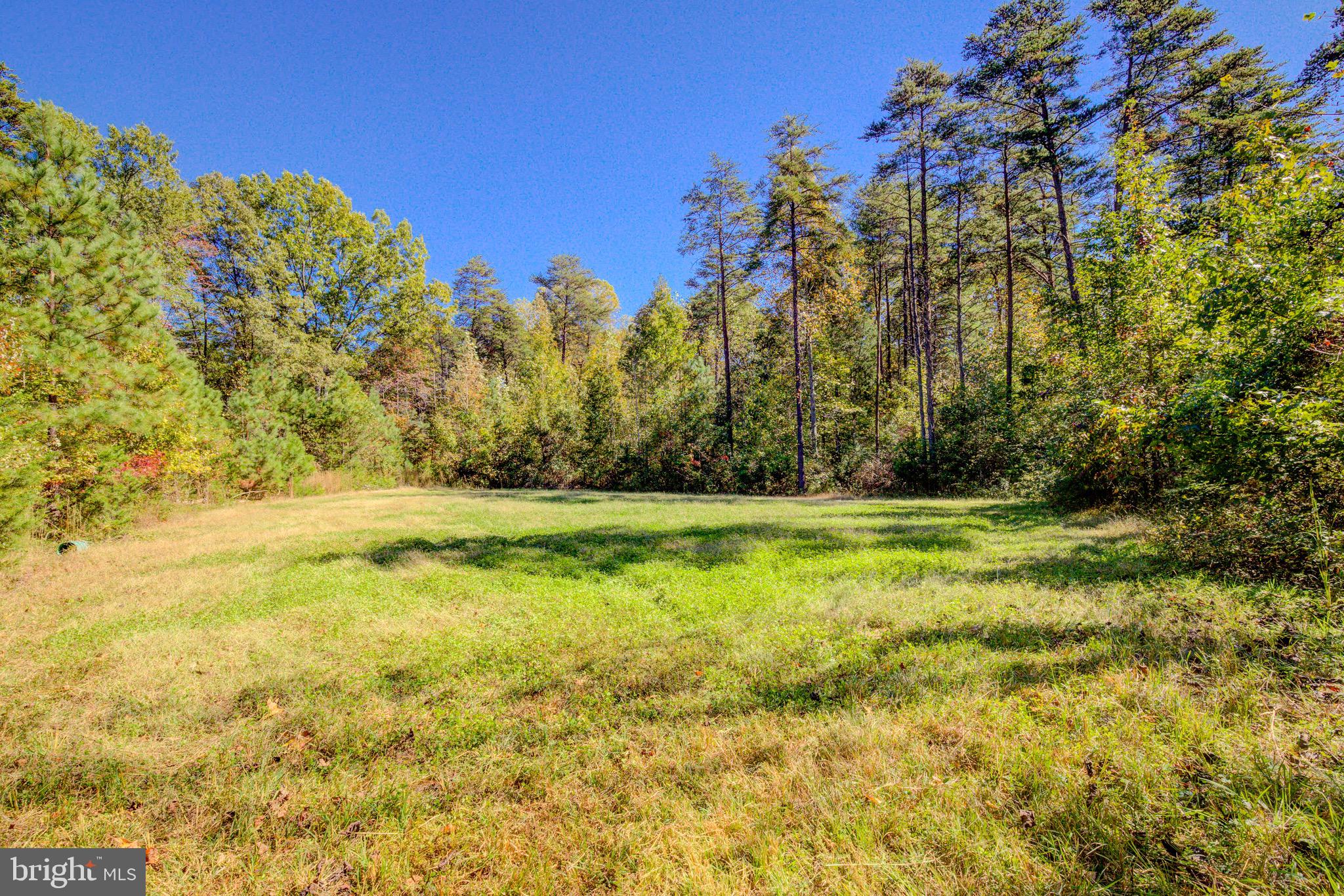 1421 Bohannon Road Bumpass, VA 23024 - Photo 37 of 55 Clover Food Plot