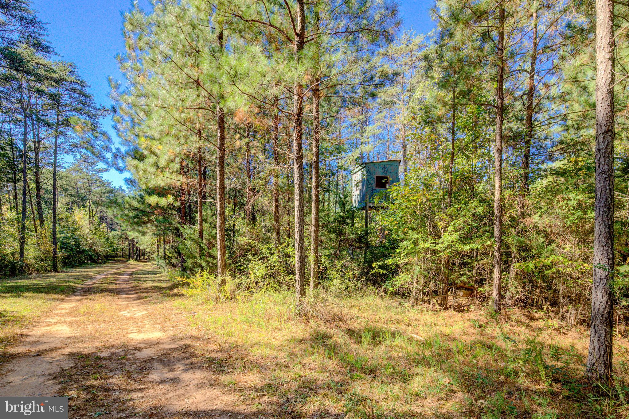 1421 Bohannon Road Bumpass, VA 23024 - Photo 39 of 55 Hunting Tower (looks out over clover food plot)