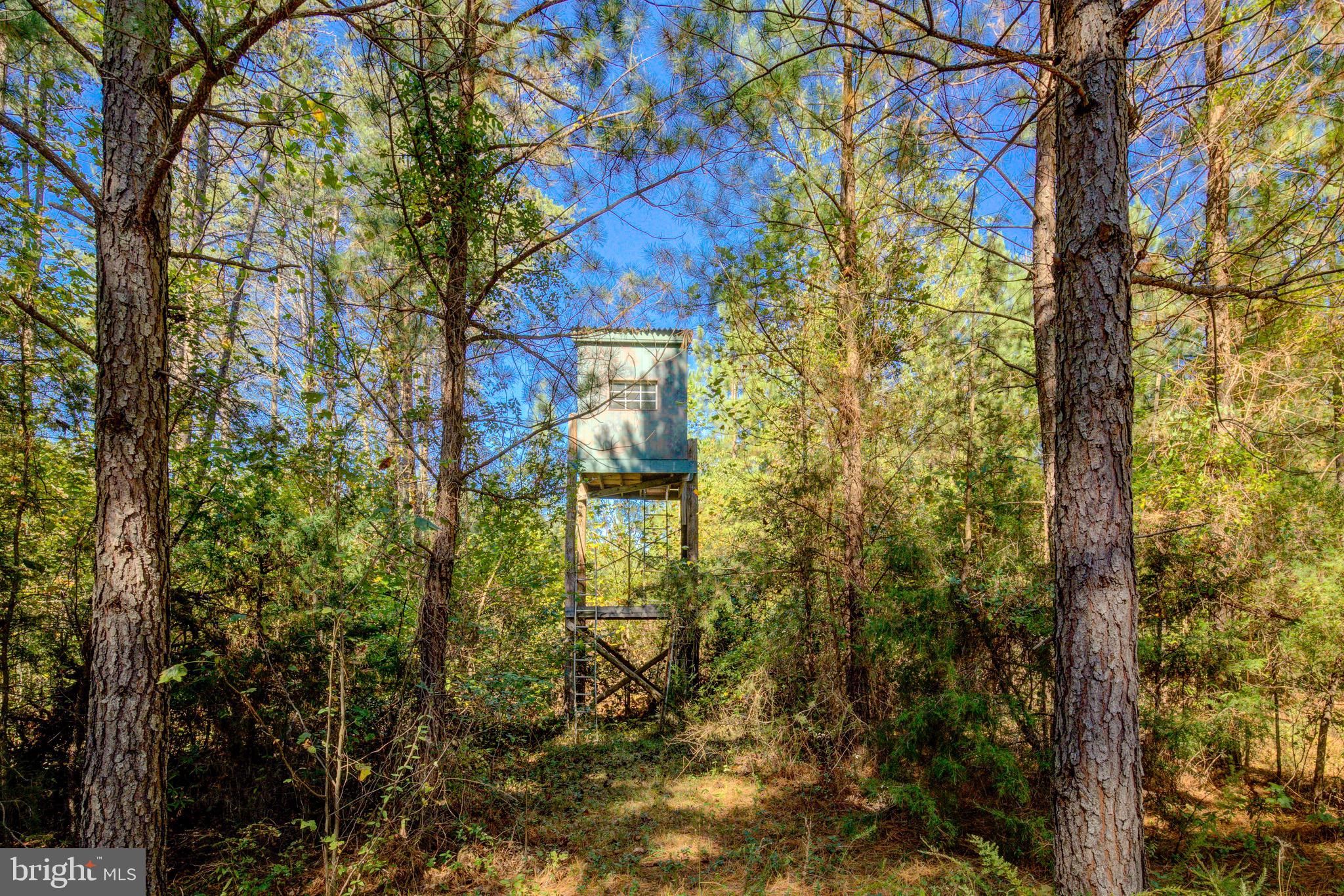 1421 Bohannon Road Bumpass, VA 23024 - Photo 40 of 55 Hunting Tower (looks out over clover food plot)