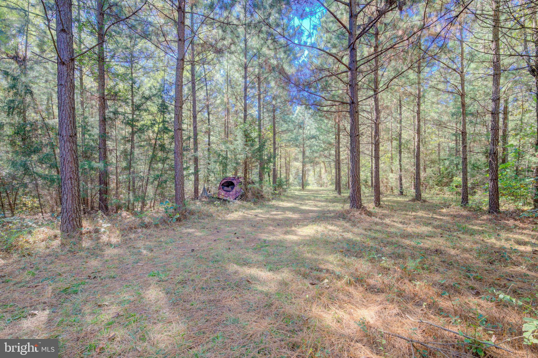 1421 Bohannon Road Bumpass, VA 23024 - Photo 41 of 55 Gallery Image 41
