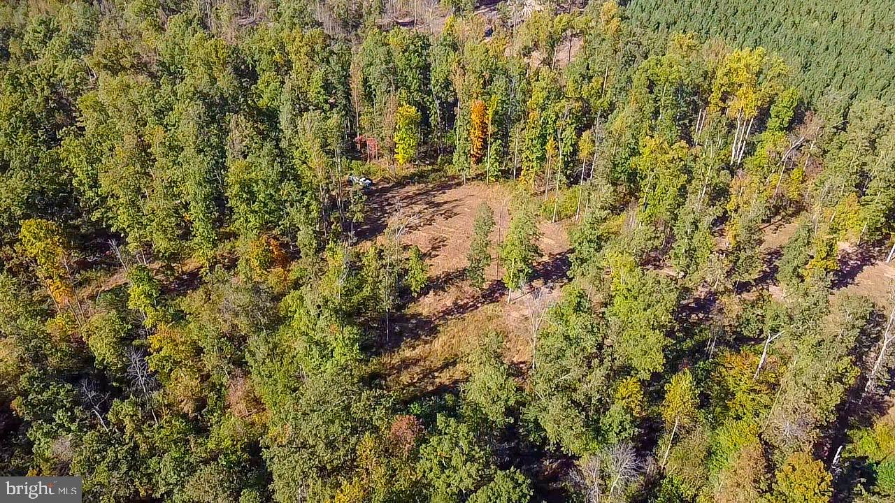 1421 Bohannon Road Bumpass, VA 23024 - Photo 51 of 55 Additional homesite cleared