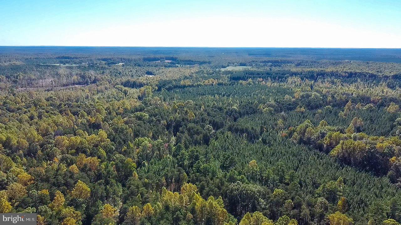 1421 Bohannon Road Bumpass, VA 23024 - Photo 52 of 55 Gallery Image 52