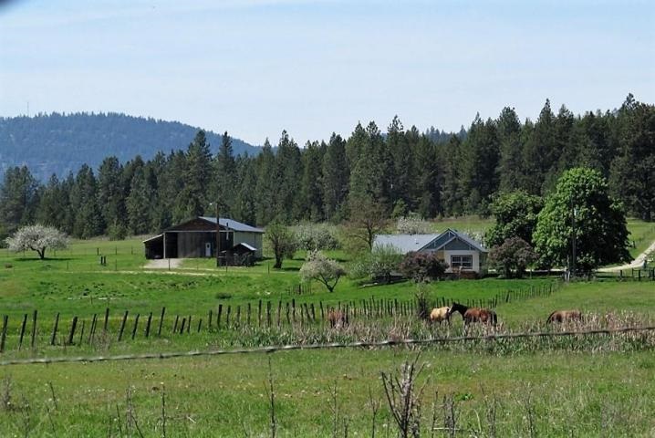 588 Aladdin Road Colville, WA 99114 - Photo 10 of 11