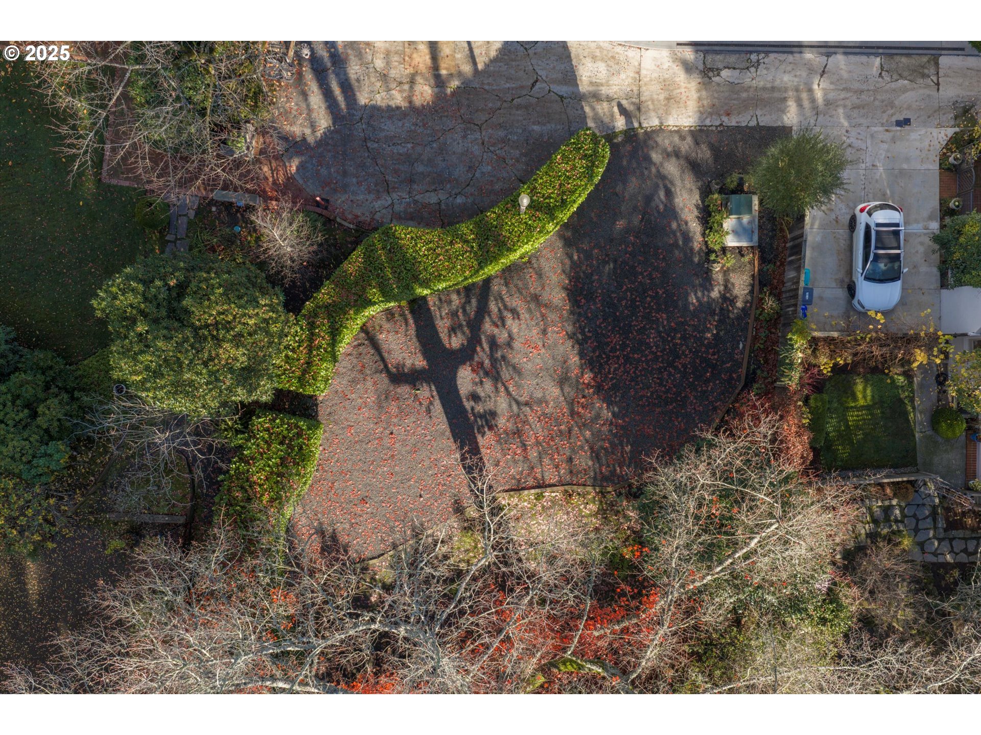 Southwest Hillcrest Place Portland, OR 97201 - Photo 2 of 11 a bird view of house