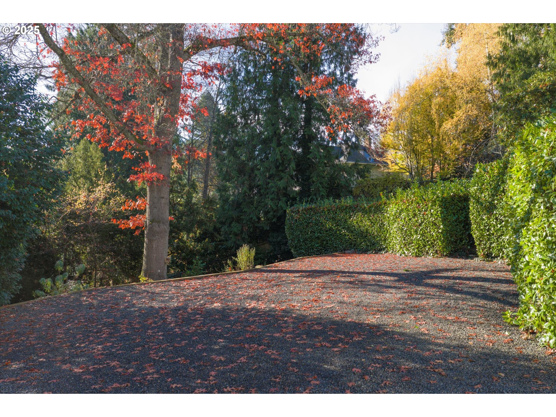 Southwest Hillcrest Place Portland, OR 97201 - Photo 3 of 11 a backyard of a house with large trees