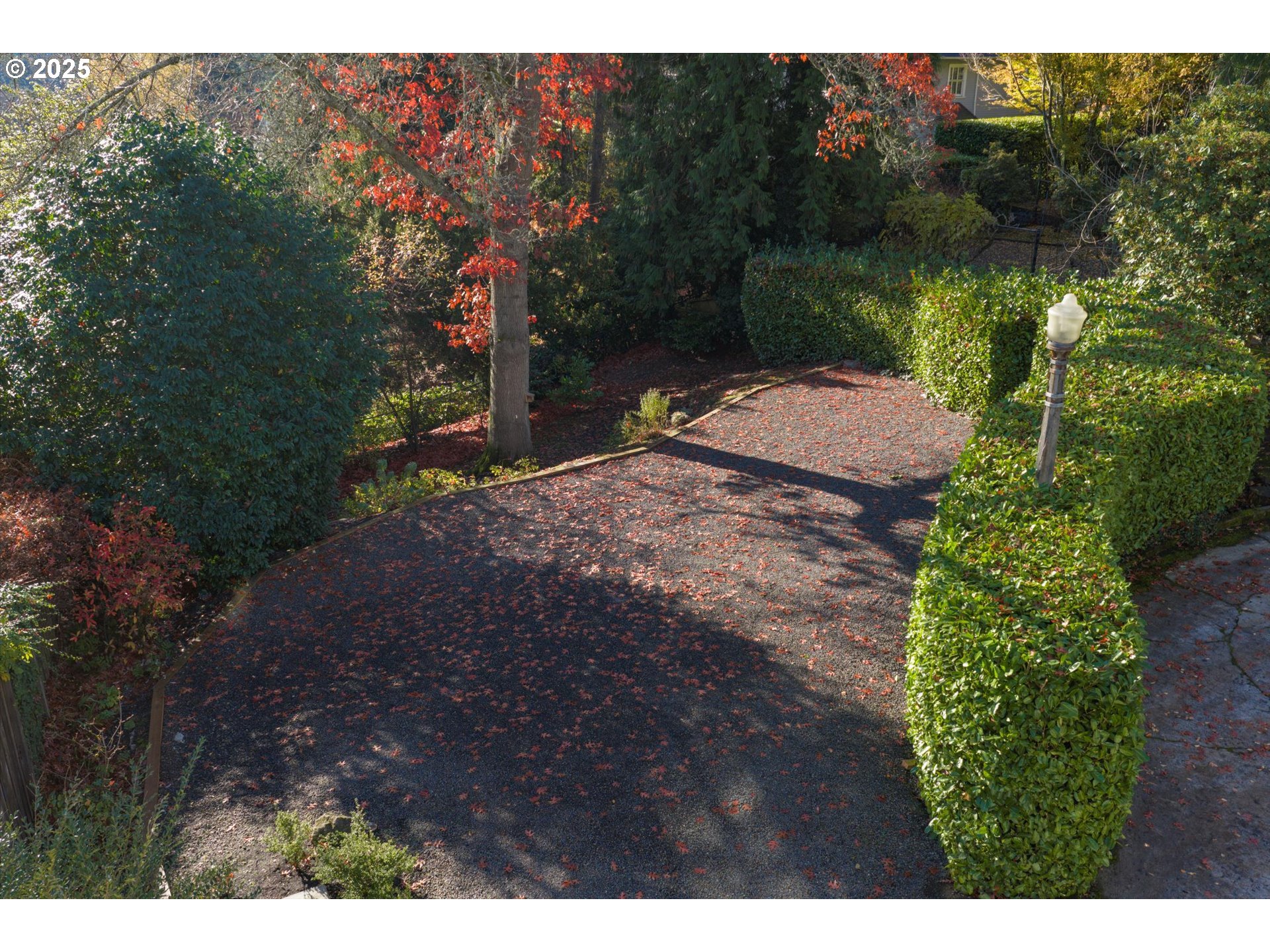 Southwest Hillcrest Place Portland, OR 97201 - Photo 5 of 11 a backyard of a house with lots of green space