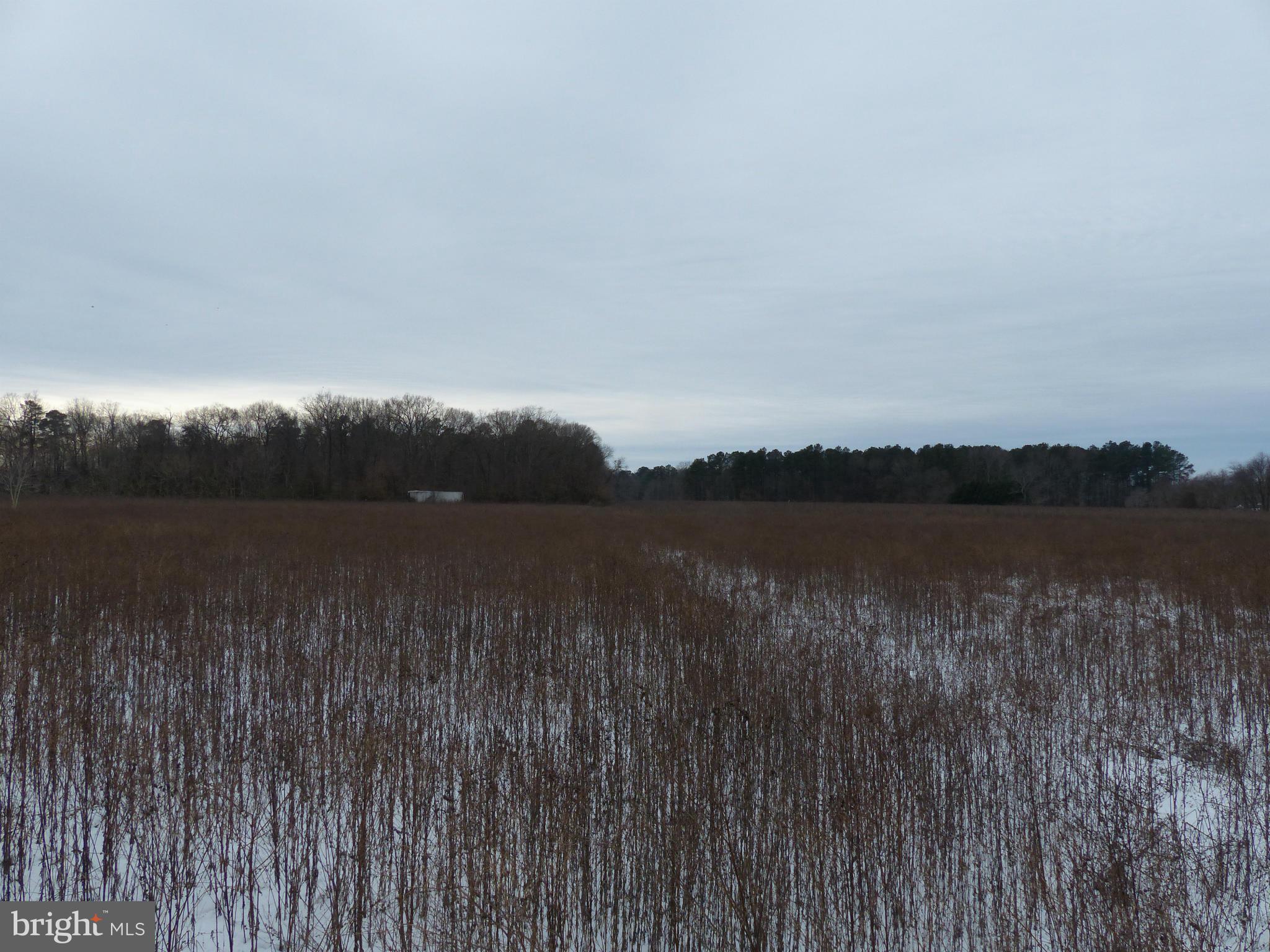5610 Newton Road Preston, MD 21655 - Photo 2 of 7 a view of lake with green space