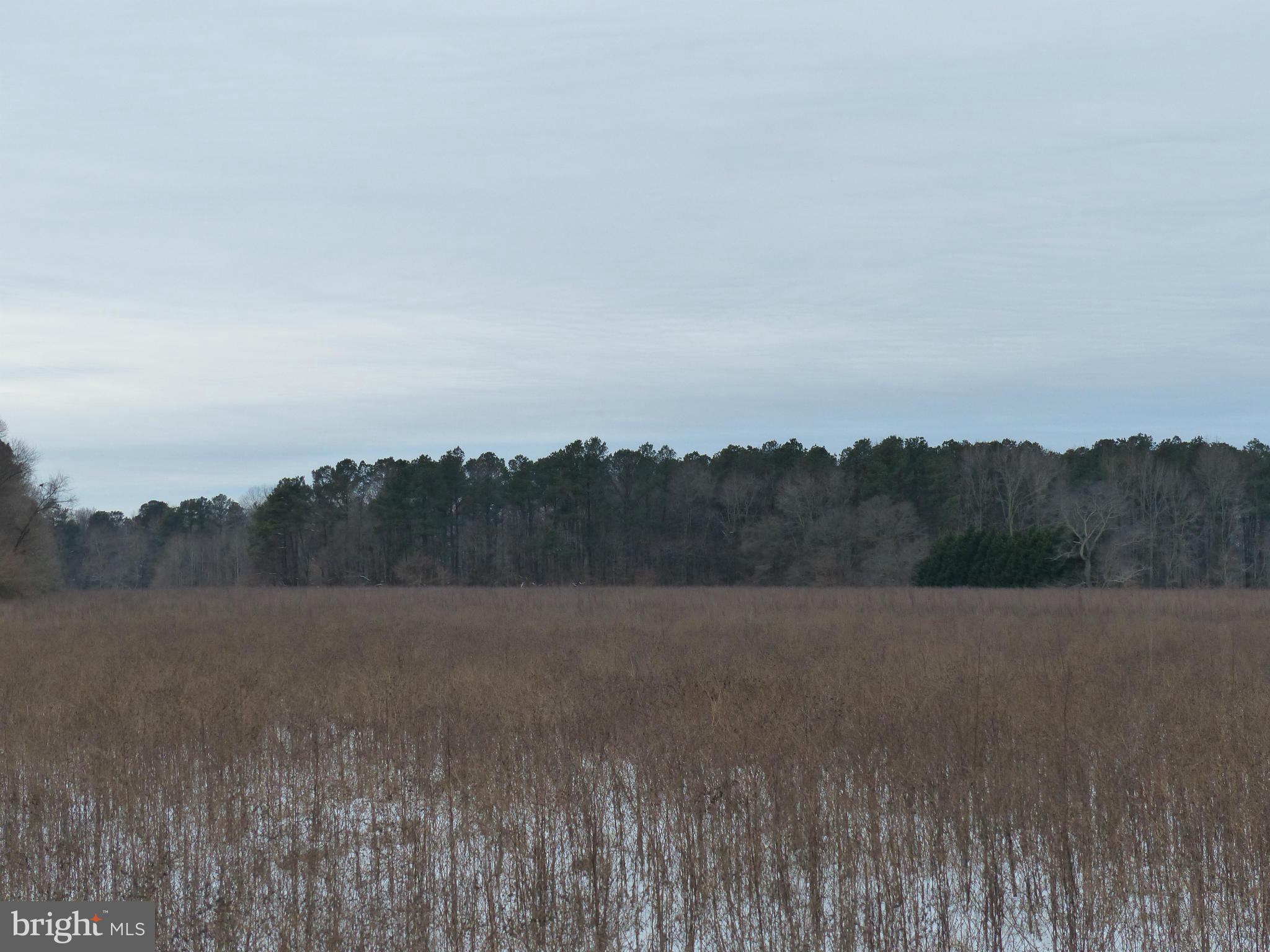 5610 Newton Road Preston, MD 21655 - Photo 5 of 7 a view of mountain with sunset view
