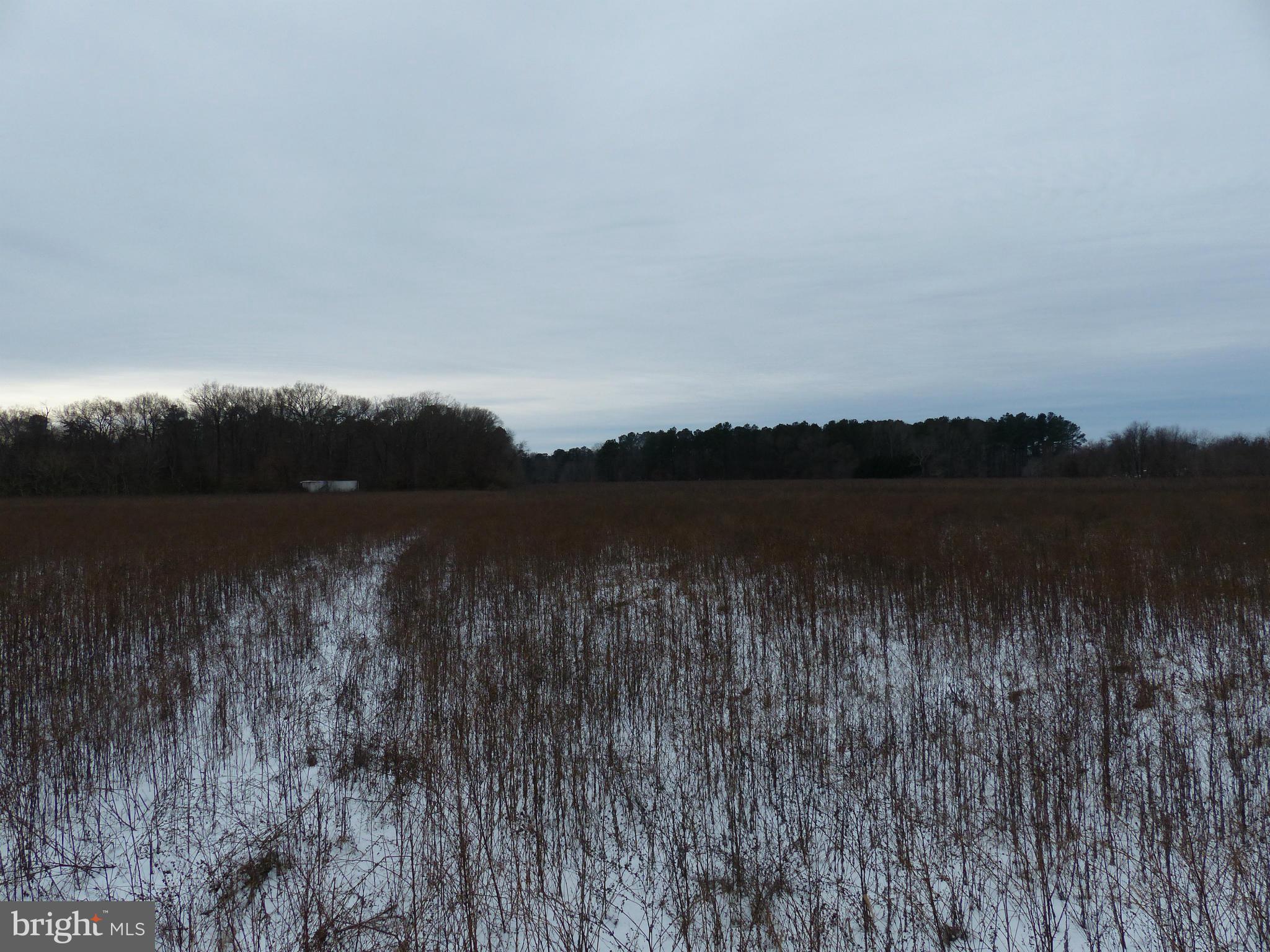 5610 Newton Road Preston, MD 21655 - Photo 6 of 7 a view of lake