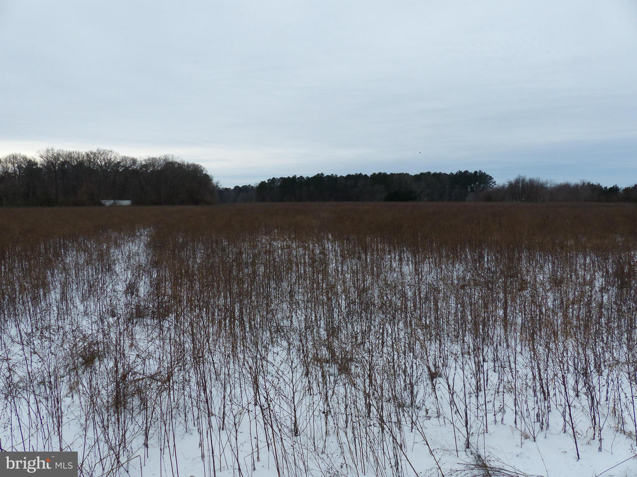 5610 Newton Road Preston, MD 21655 - Photo 7 of 7 a view of lake with green valley