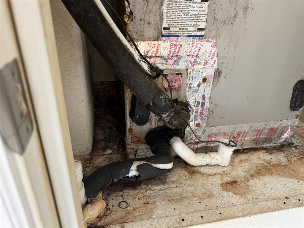 12825 Tikal Way Trinity, FL 34655 - Photo 26 of 59