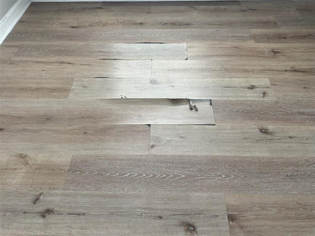 12825 Tikal Way Trinity, FL 34655 - Photo 31 of 59