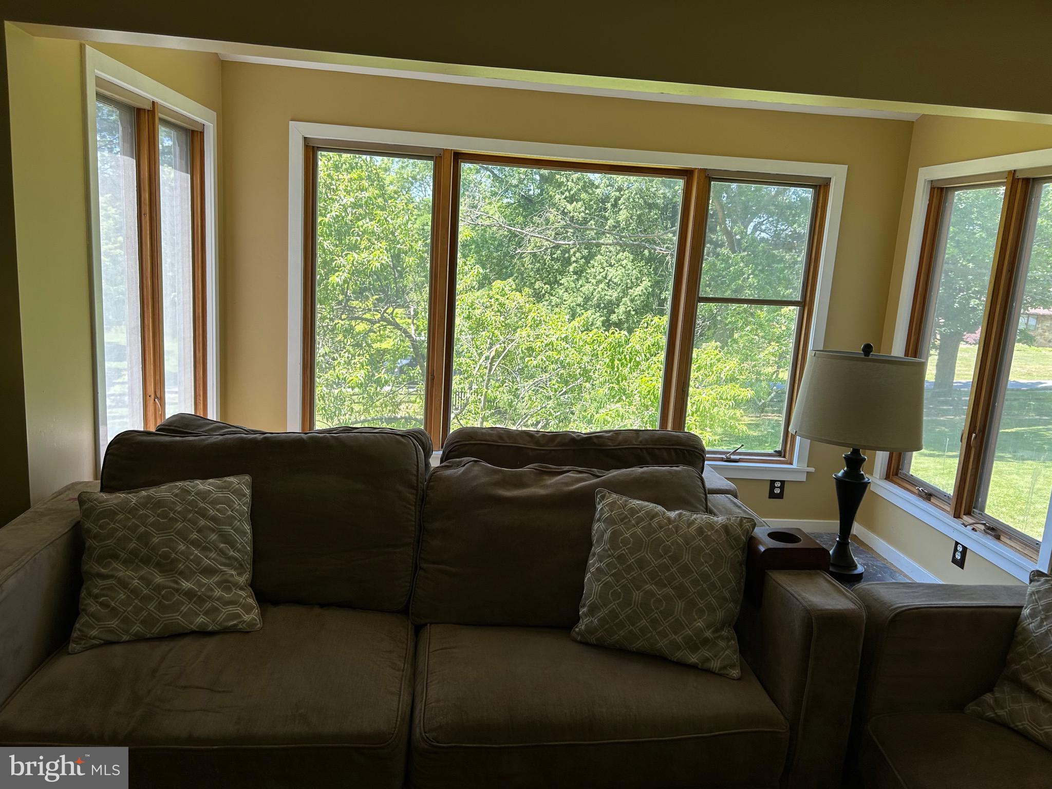 123 Osage Lane Newark, DE 19711 - Photo 17 of 19 Living Room bump-out view of property