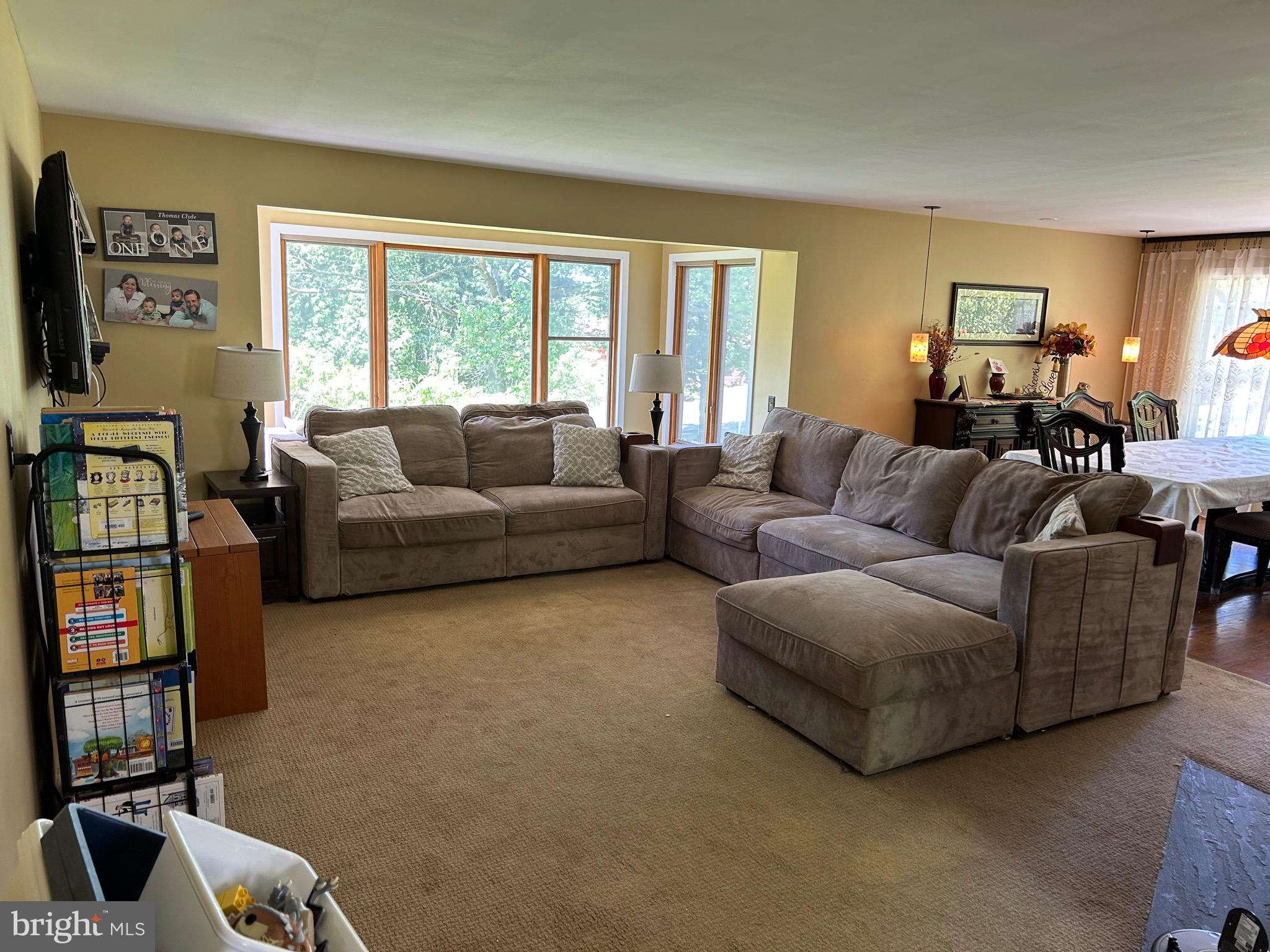 123 Osage Lane Newark, DE 19711 - Photo 18 of 19 Living room view from foyer