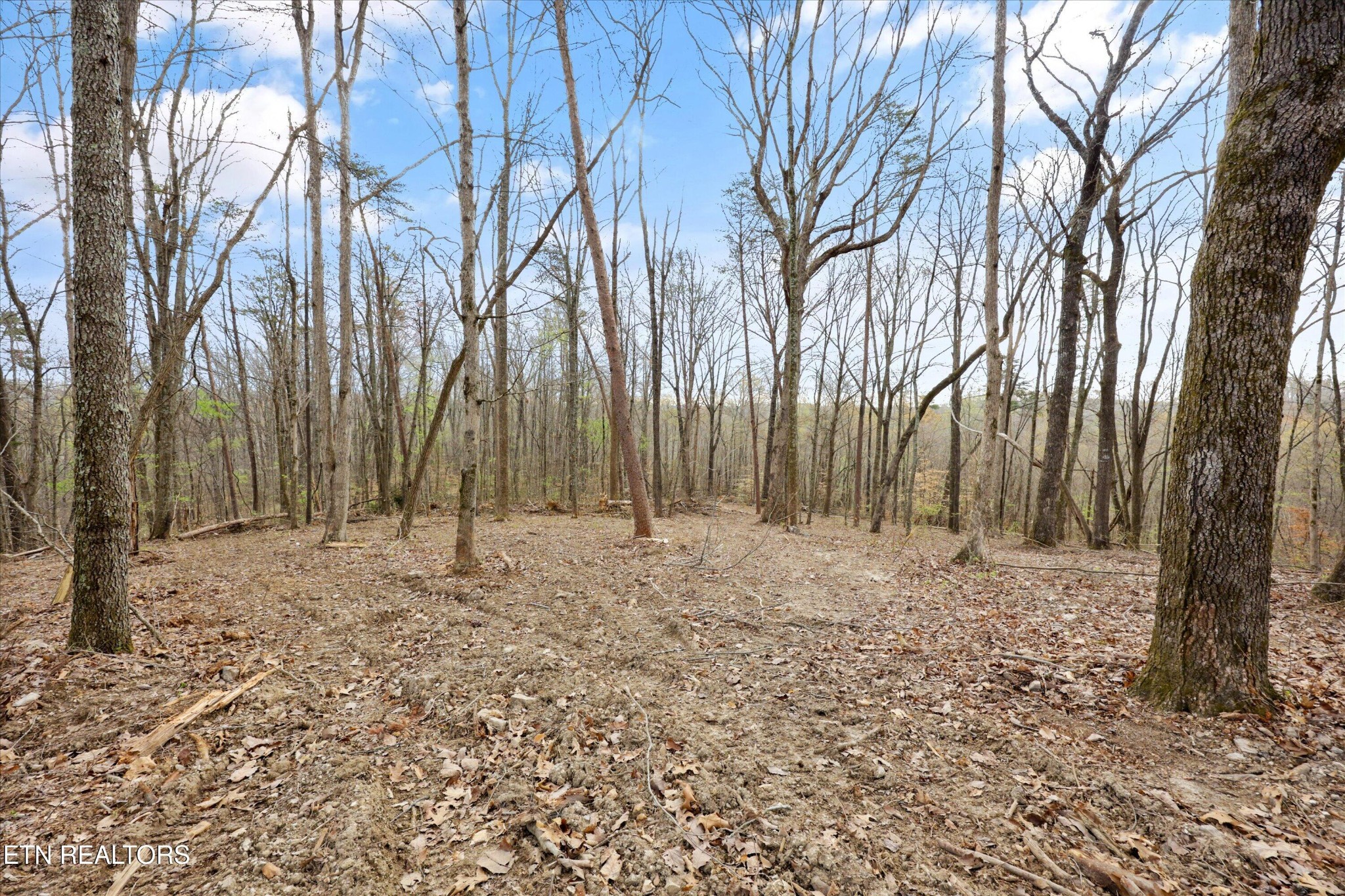 0 Pleasant View Loop Clinton, TN 37716 - Photo 3 of 12