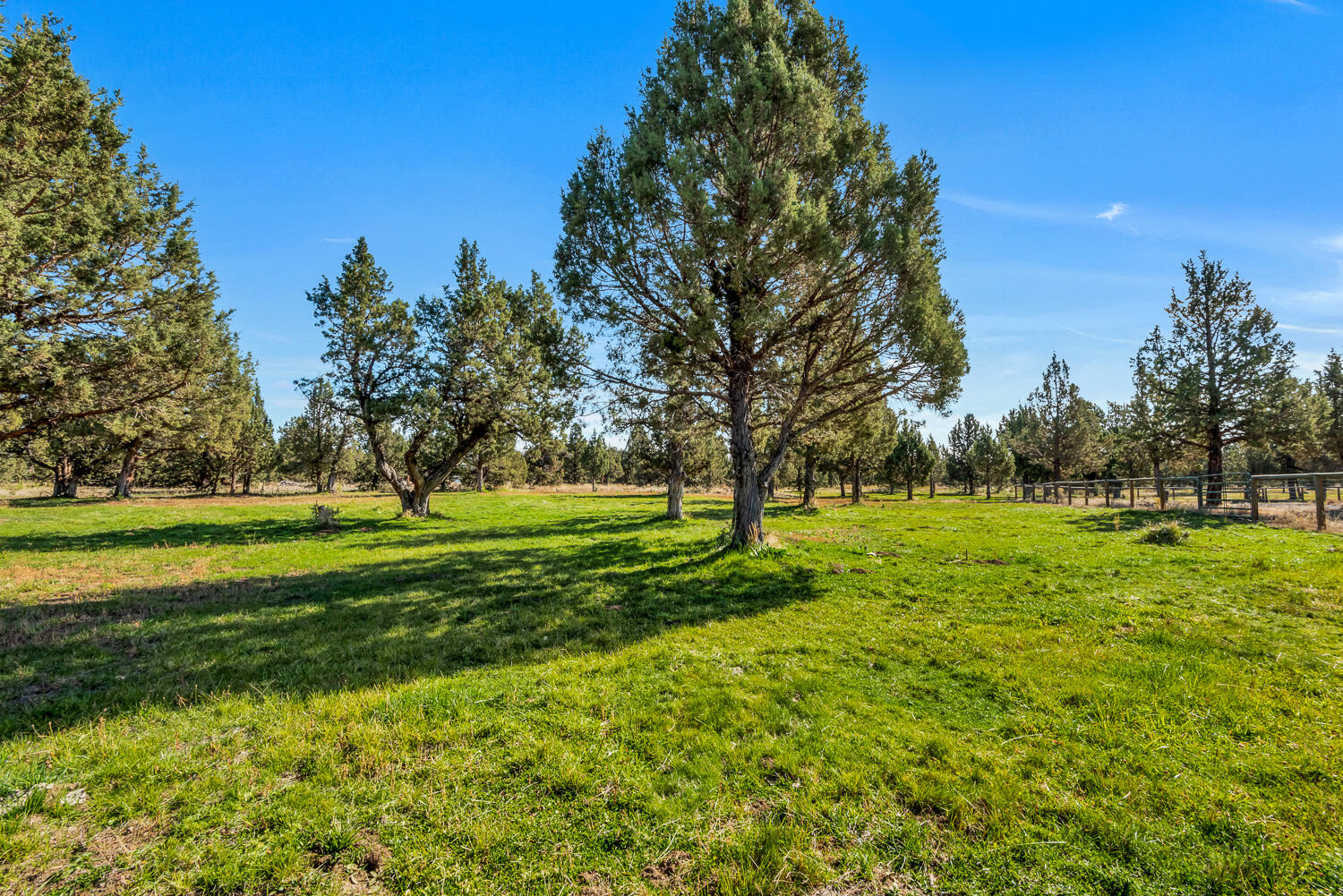 25895 Ogles Road Bend, OR 97701 - Photo 46 of 53 46