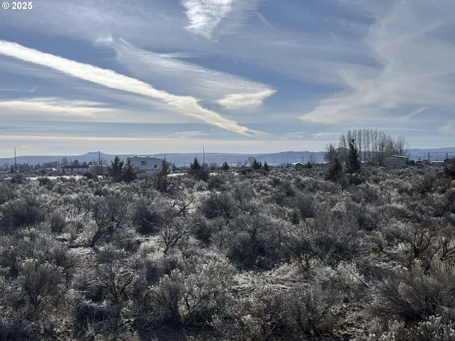 a view of a bunch of trees in a field