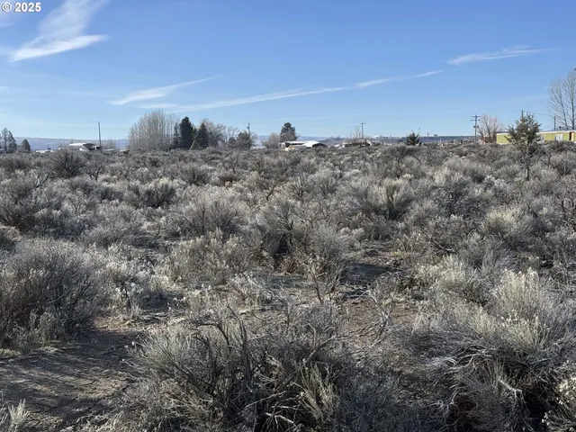 a view of a bunch of trees