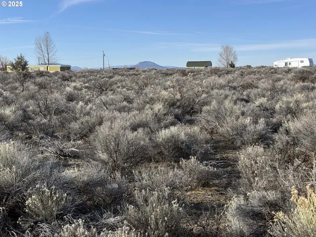 a view of a dry yard