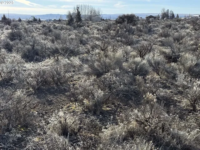 a view of a bunch of trees