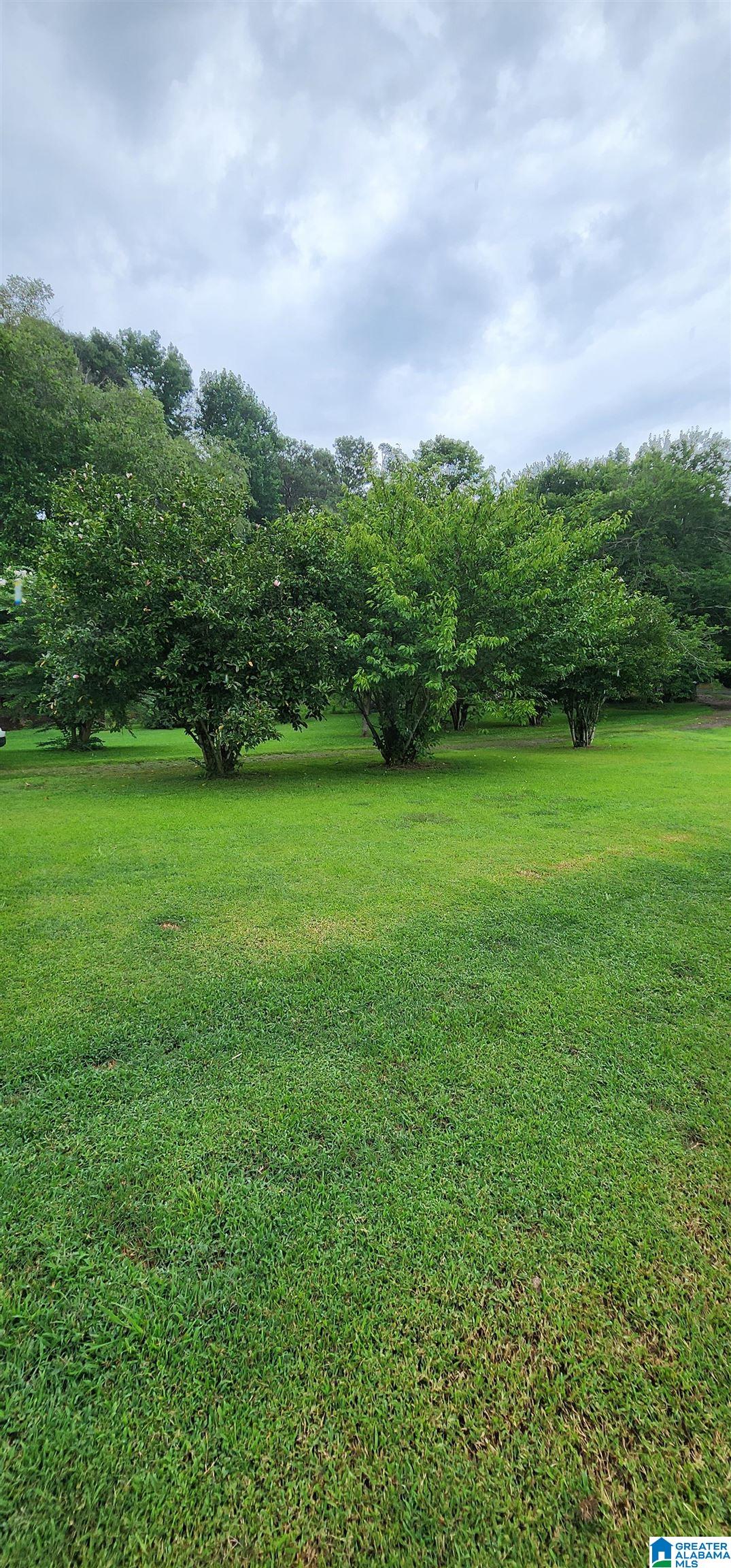 368 Dodd Road Altoona, AL 35952 - Photo 37 of 54