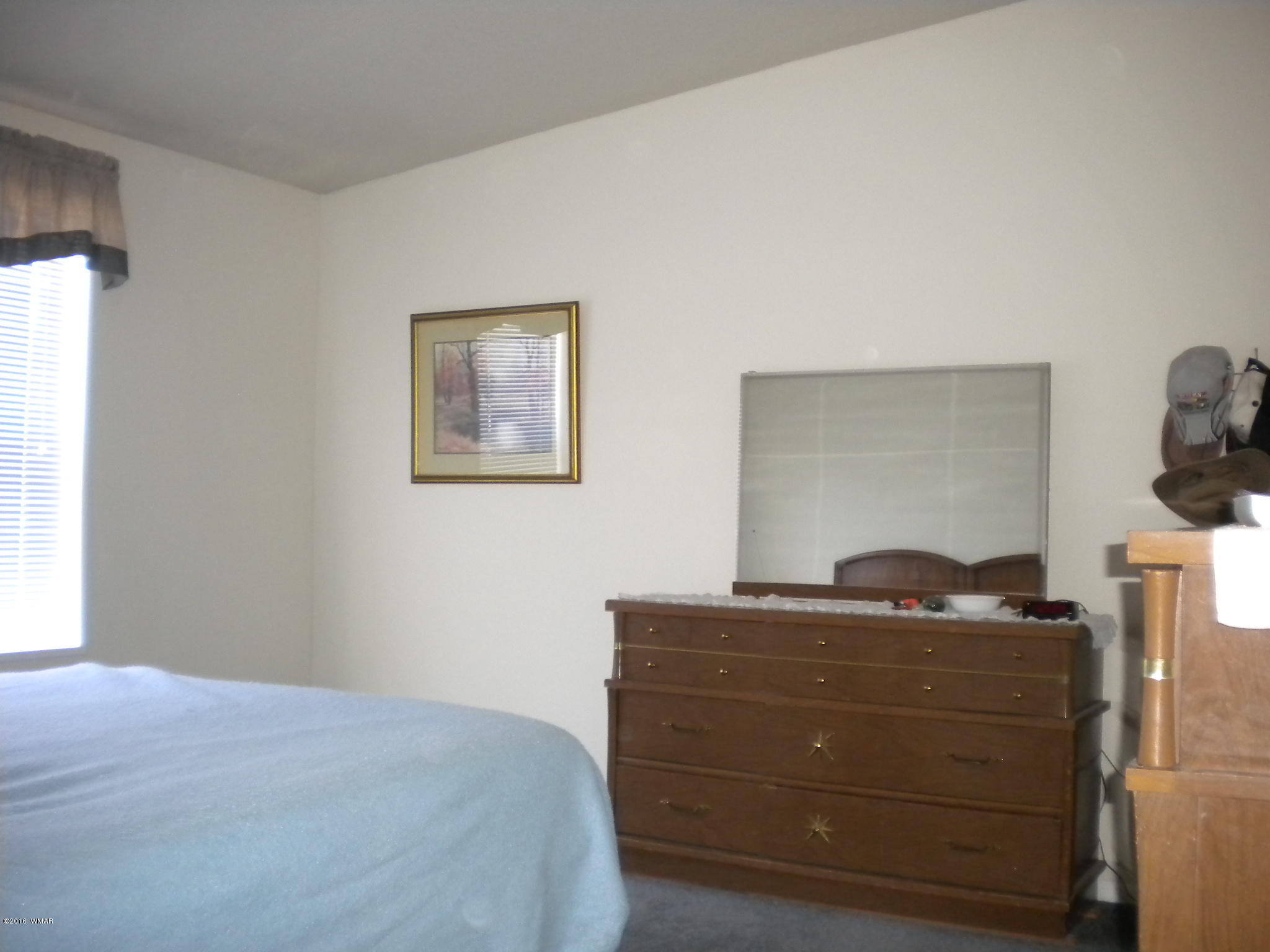 2727 Senior Center Street Overgaard, AZ 85933 - Photo 10 of 21