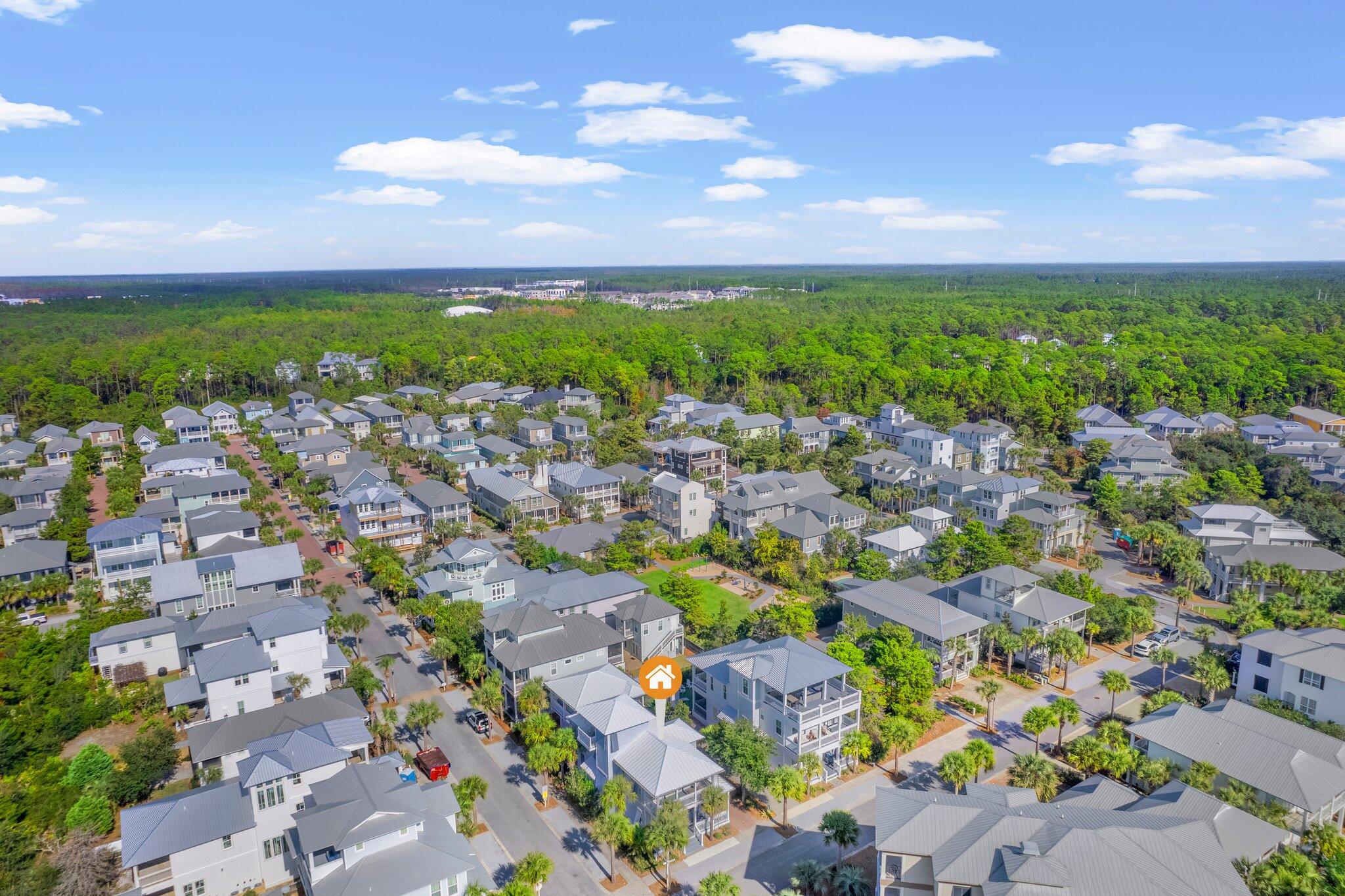 9 East Blue Crab Loop Inlet Beach, FL 32461 - Photo 75 of 77 Welcome To 9 Blue Crab Loop!