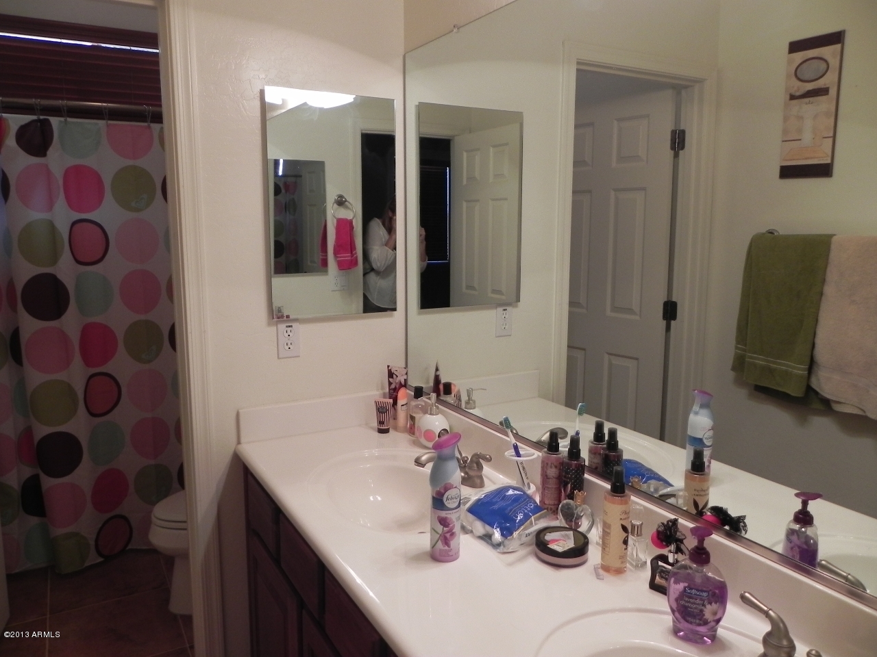 3041 East Weather Vane Road Gilbert, AZ 85296 - Photo 35 of 42 Bathroom THREE