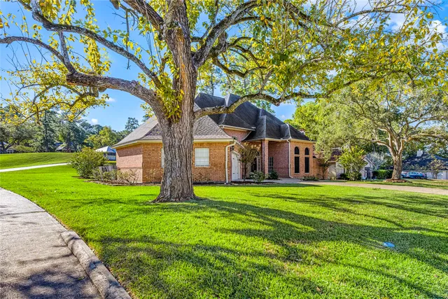 a view of a chair and table in the backyard