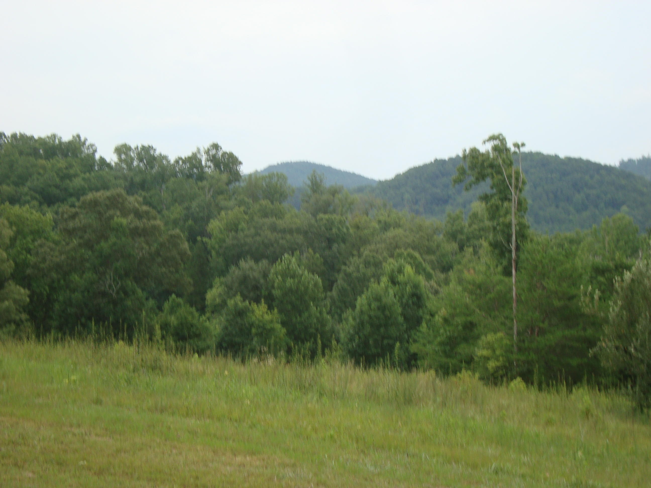 DSC04591