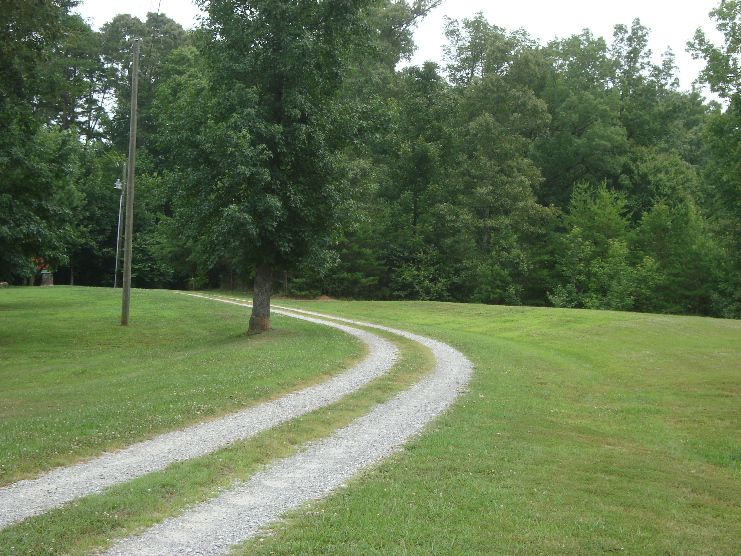 1 Williams Road Tellico Plains, TN 37385 - Photo 2 of 14 DSC04590