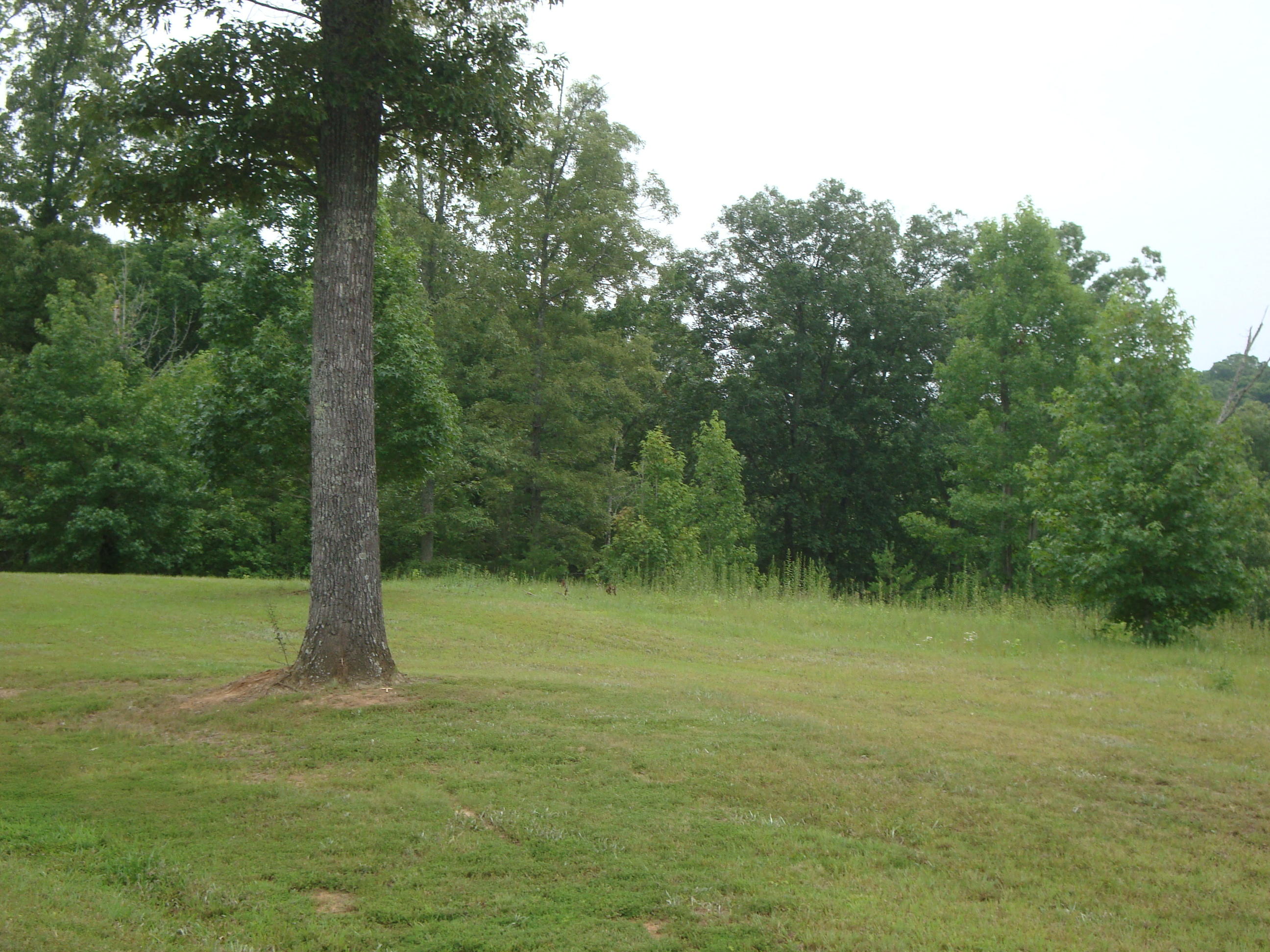 1 Williams Road Tellico Plains, TN 37385 - Photo 12 of 14 DSC04592
