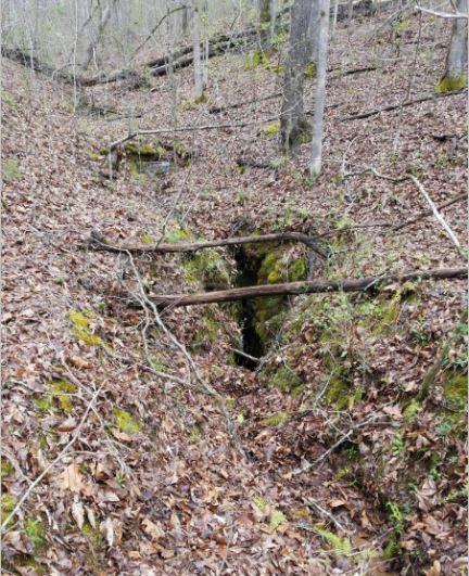 1 Williams Road Tellico Plains, TN 37385 - Photo 3 of 14 Williams Rd. Cave Pic 1