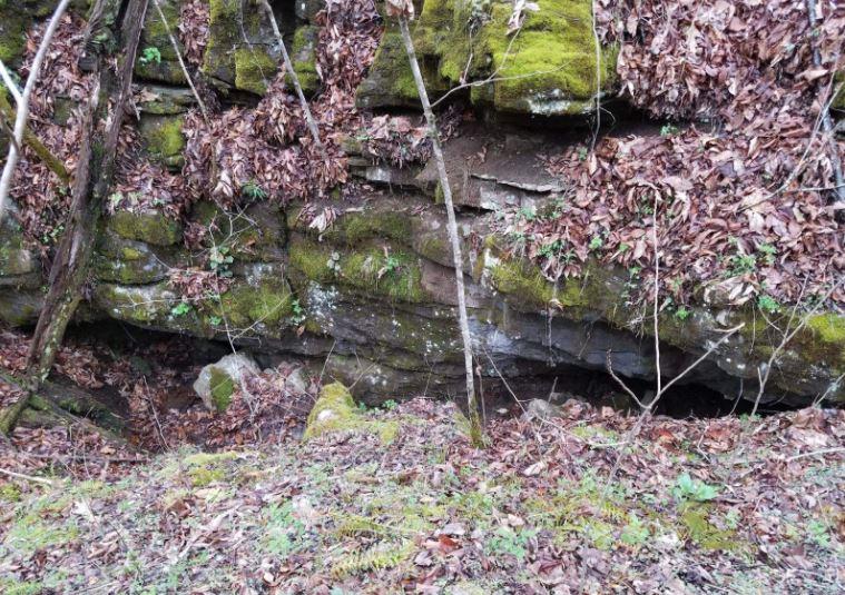 1 Williams Road Tellico Plains, TN 37385 - Photo 4 of 14 Williams Rd. Cave pic 2