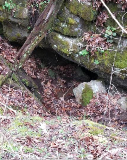 1 Williams Road Tellico Plains, TN 37385 - Photo 5 of 14 Williams Rd. Cave Pic 3