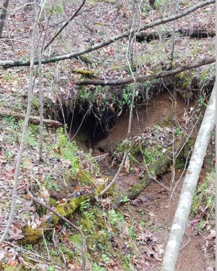 1 Williams Road Tellico Plains, TN 37385 - Photo 7 of 14 Williams Rd. Cave Pic 5