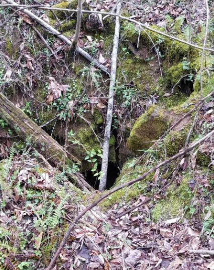 1 Williams Road Tellico Plains, TN 37385 - Photo 8 of 14 Willaism Rd. Cave Pic 6