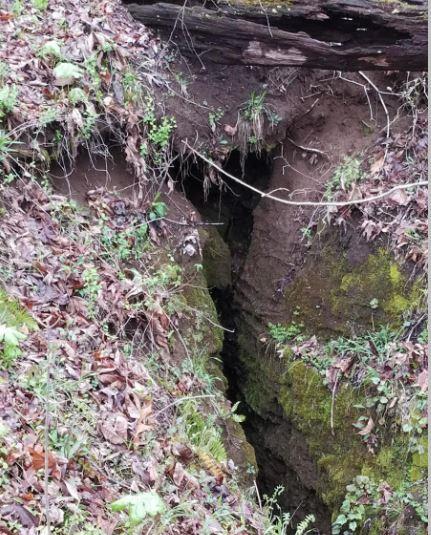 1 Williams Road Tellico Plains, TN 37385 - Photo 9 of 14 Williams Rd. Cave Pic 7