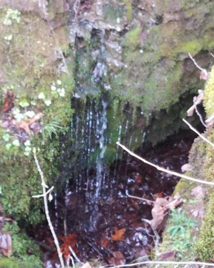 1 Williams Road Tellico Plains, TN 37385 - Photo 10 of 14 Williams Rd. Cave pic 8