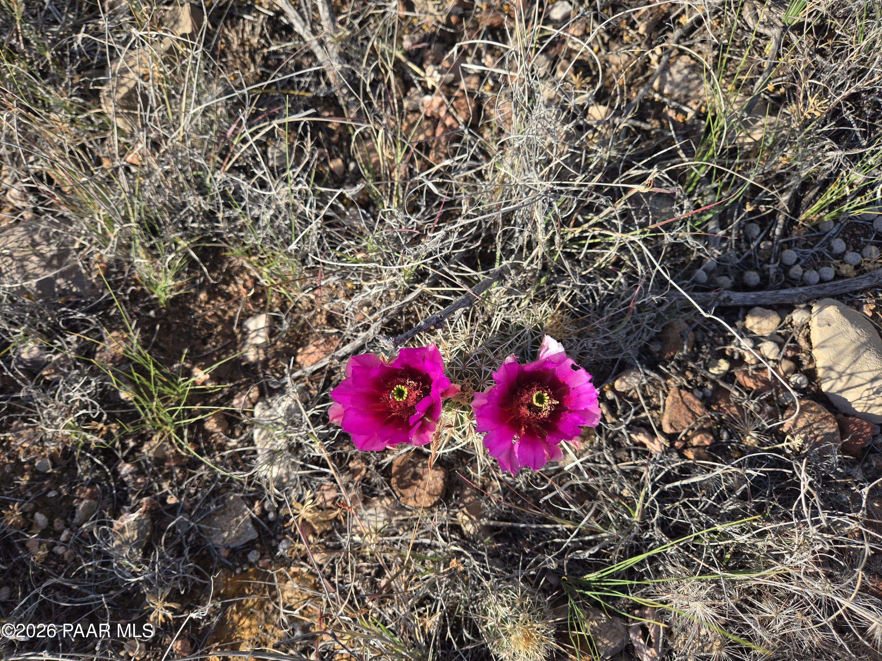 450 Arizona Road Ash Fork, AZ 86320 - Photo 17 of 22 1000032079