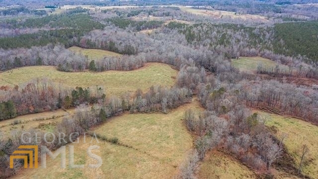0 Barr Farm Road Roopville, GA 30170 - Photo 1 of 1