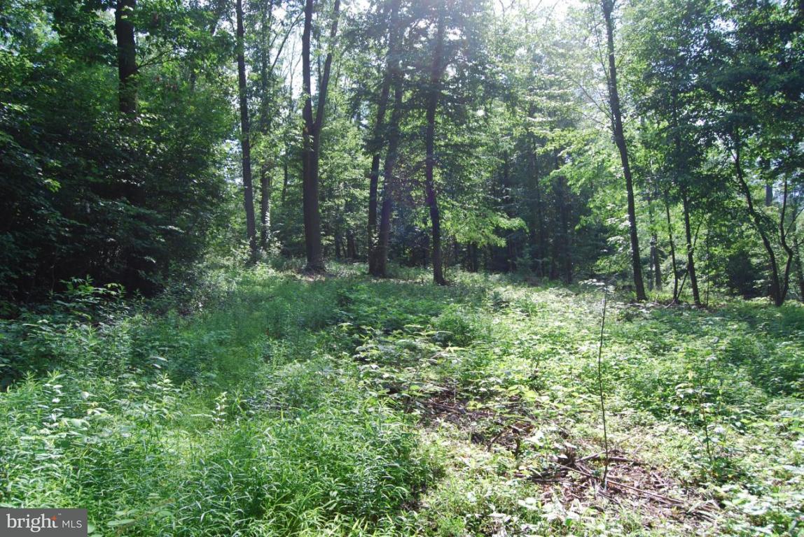0 Cemetery Road, Unit 5 Fredericksburg, PA 17026 - Photo 1 of 4 Gallery Image 1