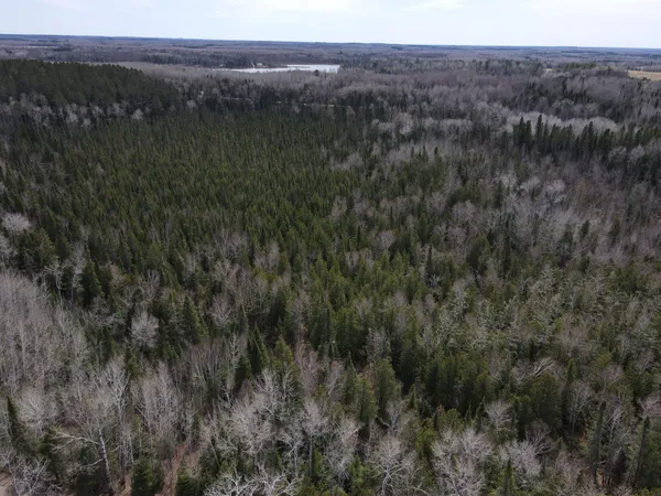 $99,500 | 40 Effie Mn 56639, Effie, MN 56639