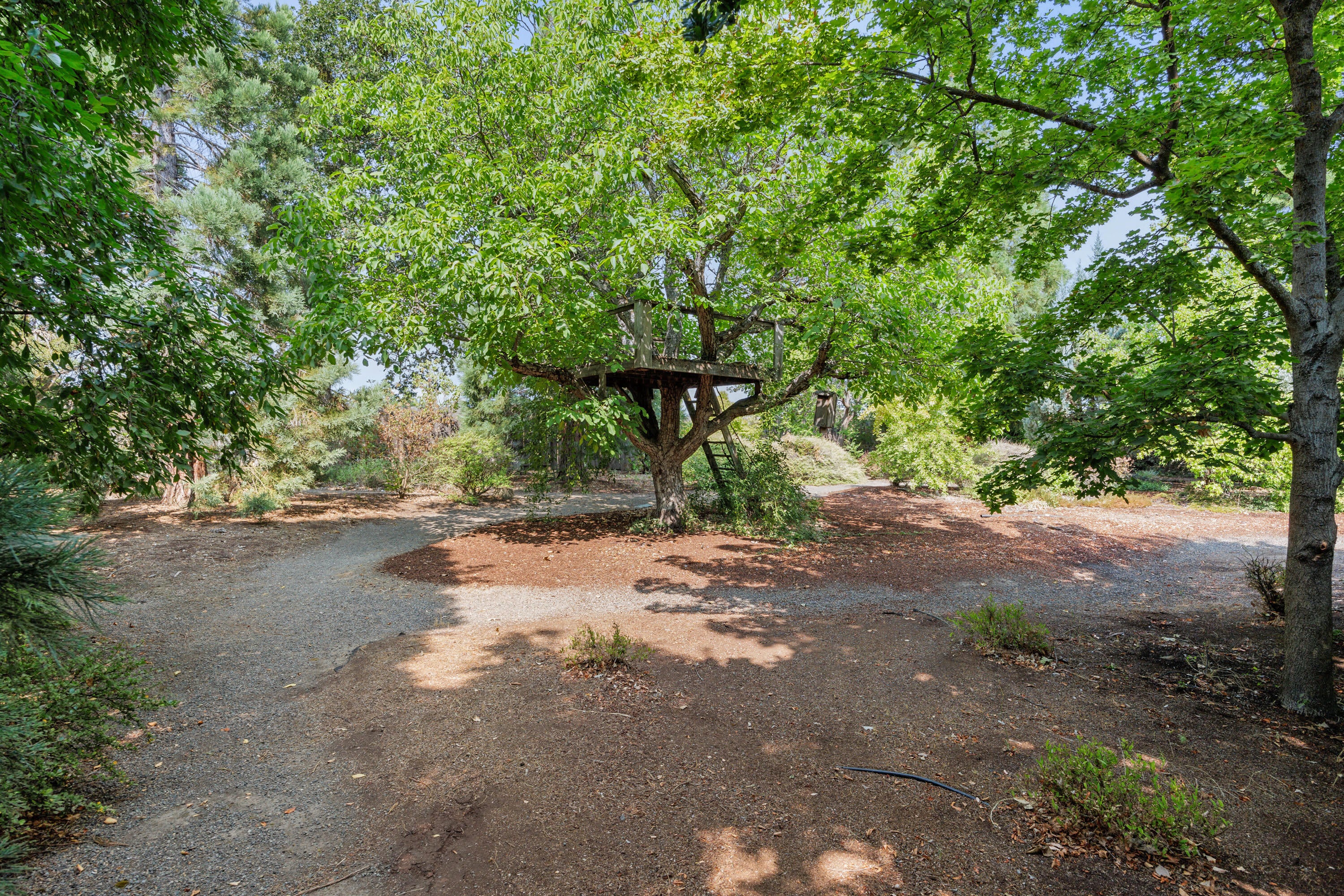 124 Walnut Place Phoenix, OR 97535 - Photo 45 of 56 APX_3413