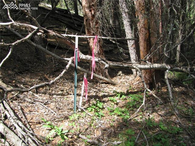 Tbd Arrowhead Road Florissant, CO 80816 - Photo 12 of 17 Gallery Image 12