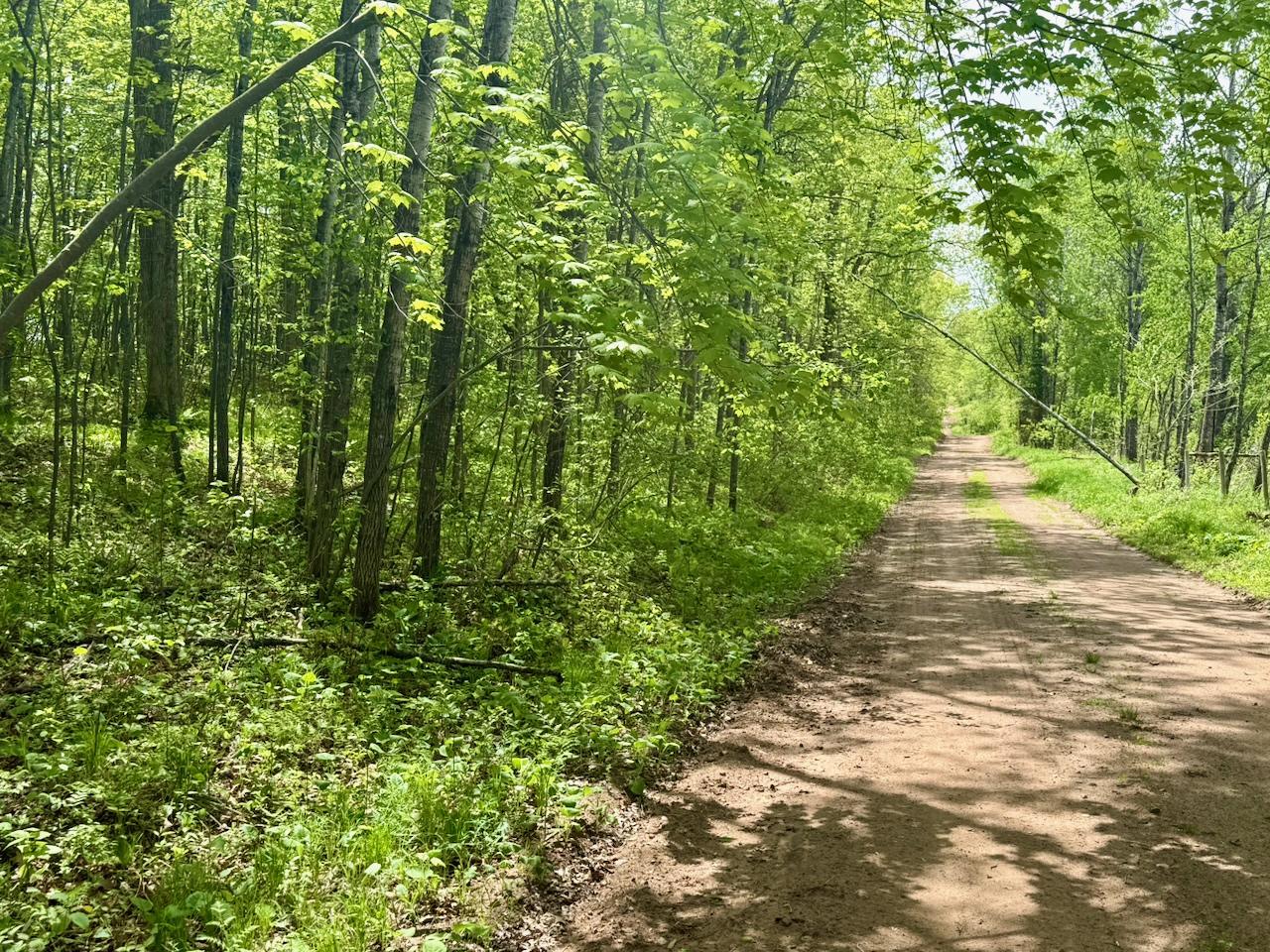 Xyz Dailey Lake Road Willow River, MN 55795 - Photo 7 of 12
