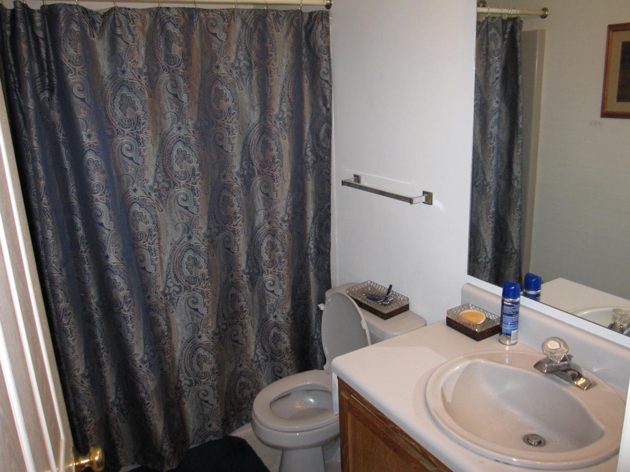 2169 Deep Woods Road Hardy, VA 24101 - Photo 13 of 37 a bathroom with a sink a toilet and shower curtain