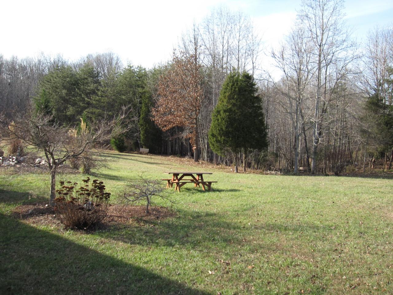 2169 Deep Woods Road Hardy, VA 24101 - Photo 3 of 37 a view of a park with large trees