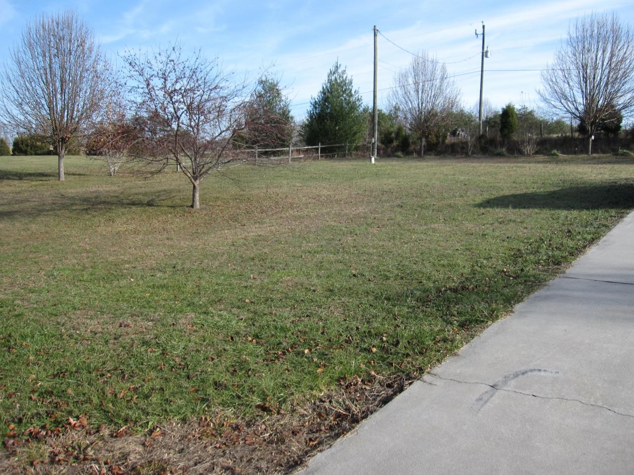2169 Deep Woods Road Hardy, VA 24101 - Photo 24 of 37 a view of a park