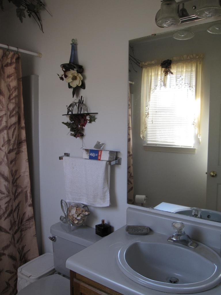 2169 Deep Woods Road Hardy, VA 24101 - Photo 10 of 37 a bathroom with a sink toilet and window